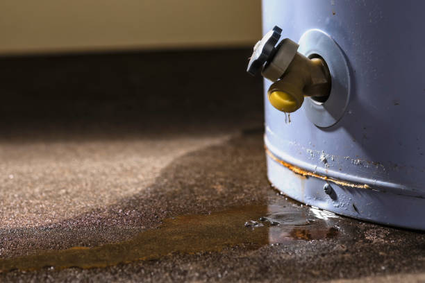 Best Water damage restoration near me  in Pickerington, OH