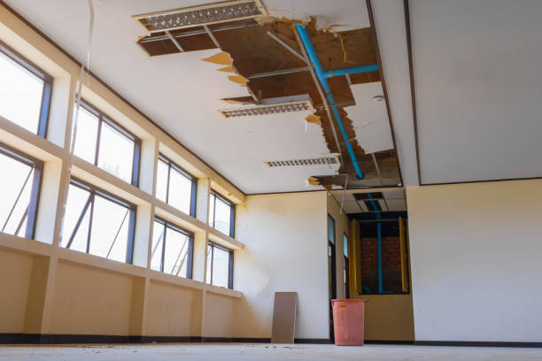 Best Water damage contractors near me  in Pickerington, OH