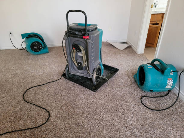 Best Flooded house restoration  in Pickerington, OH