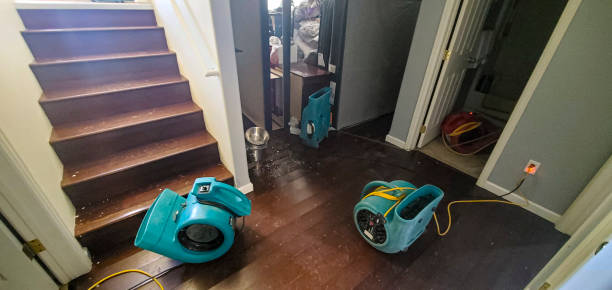 Best Residential water damage restoration  in Pickerington, OH