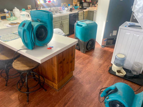 Best 24-hour water damage restoration  in Pickerington, OH