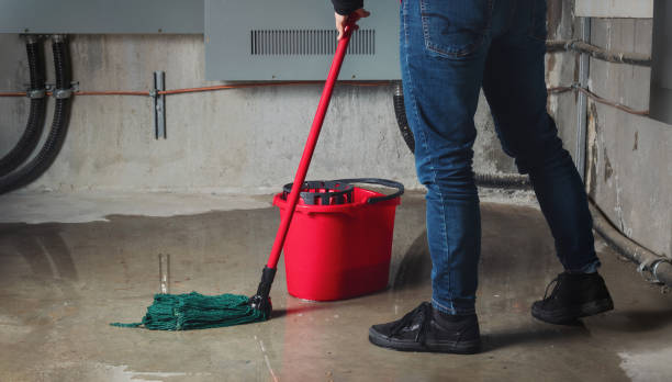 Best Ceiling water damage repair  in Pickerington, OH