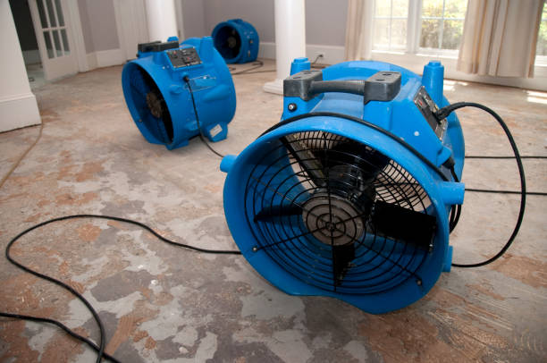 Best Flood damage cleanup  in Pickerington, OH