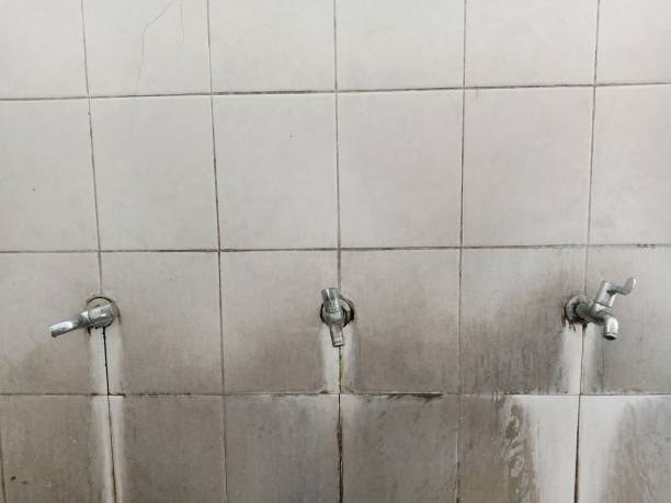 Best Water damage cleanup near me  in Pickerington, OH
