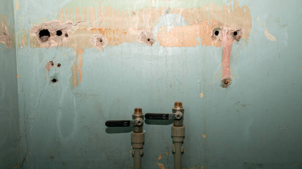 Best Carpet water damage restoration  in Pickerington, OH